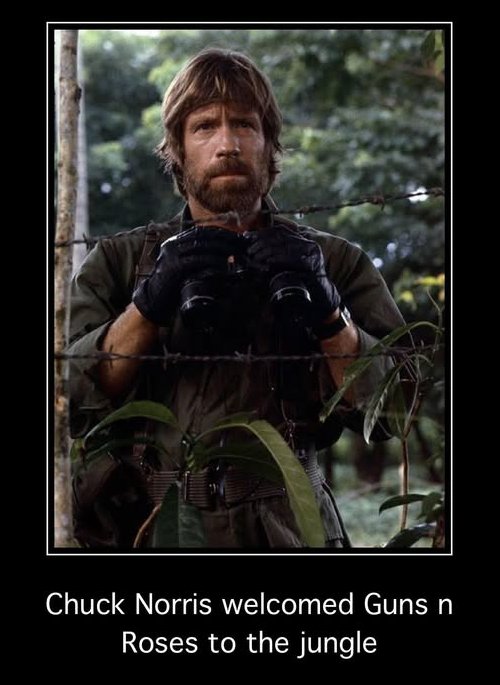 Appetite For Distortion🎙️ tweet media