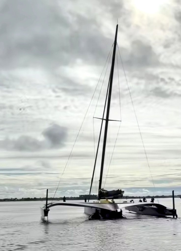 Ultim Boat tweet media