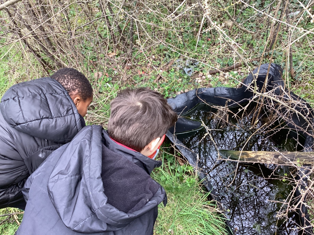 Highlees Primary tweet media