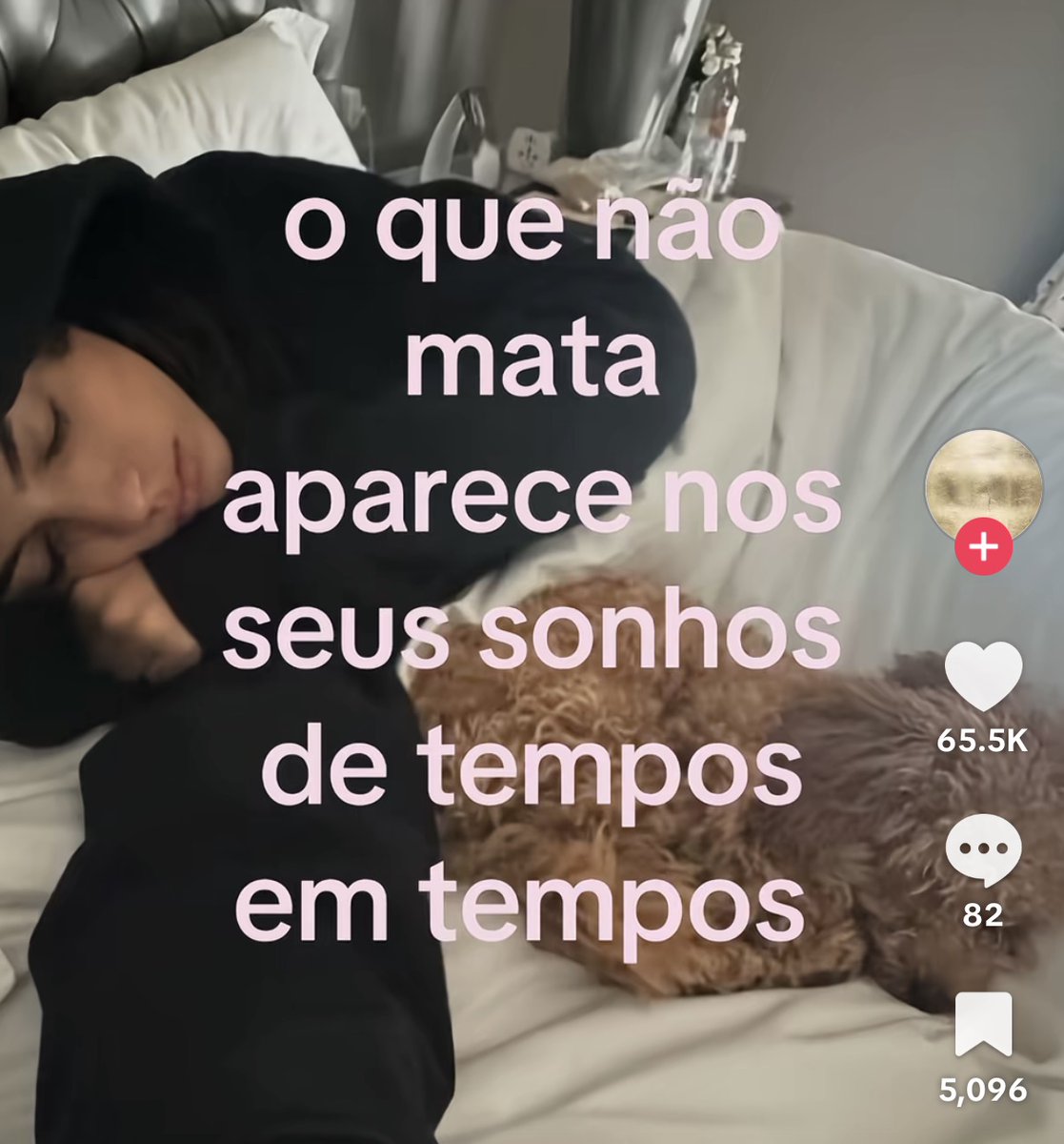 safadenha tweet media