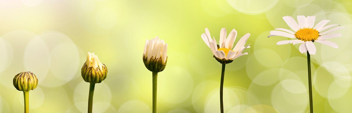 RoundPeg tweet media