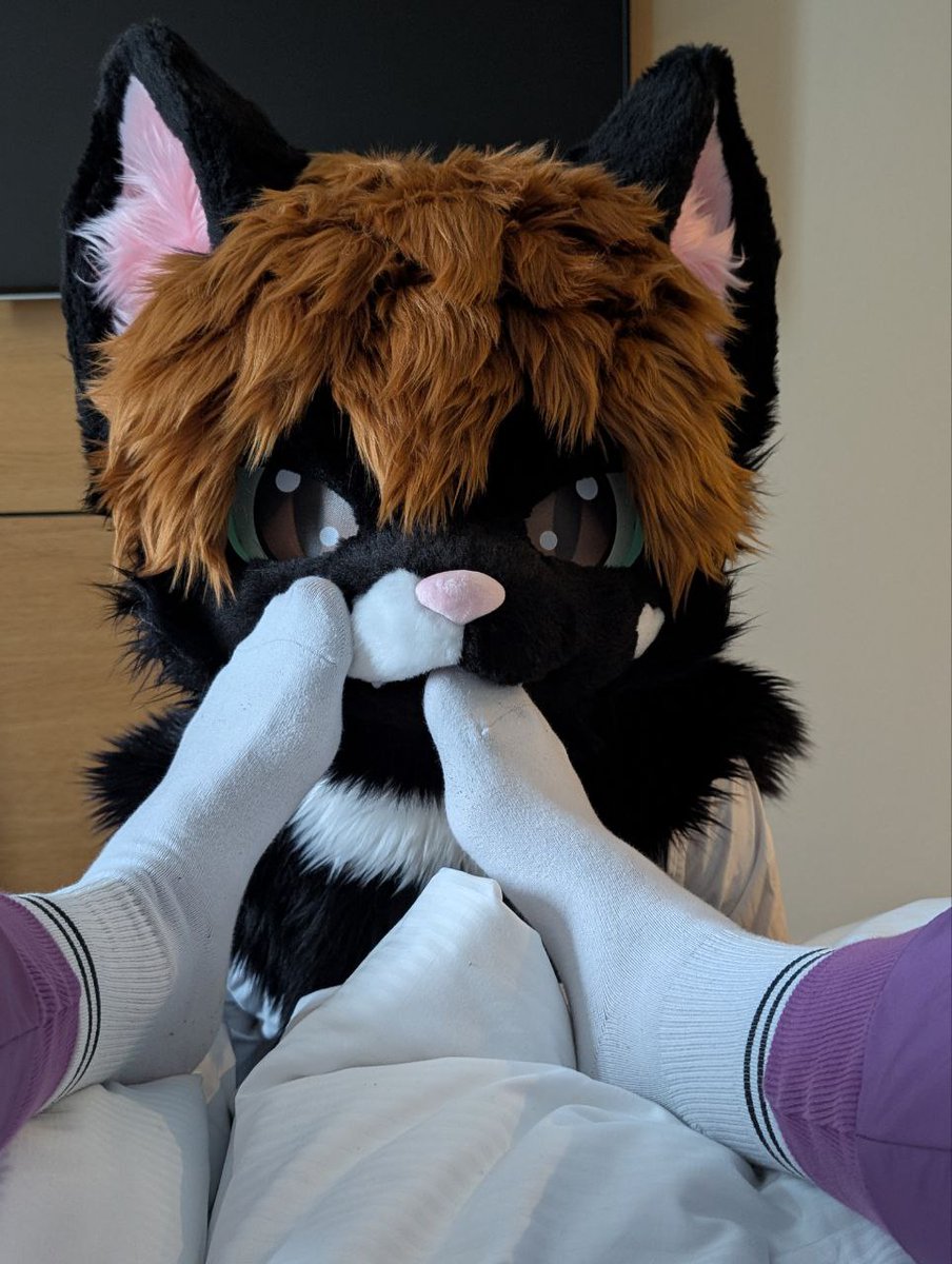 Splatty 🚈🇩🇪 tweet media