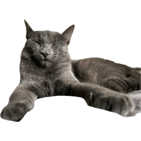 stuffymint tweet media