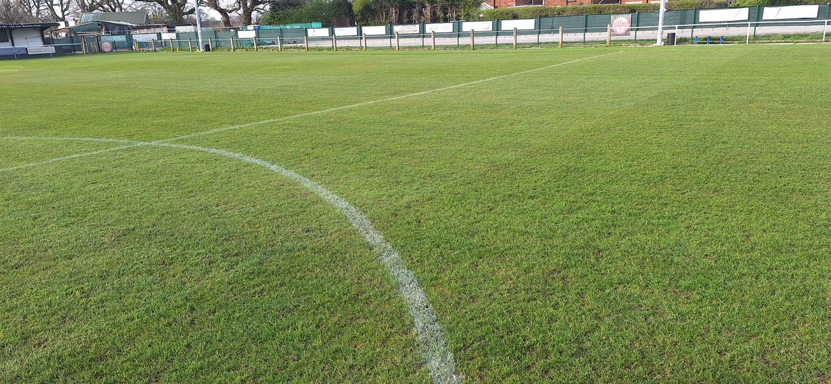 Brushes Northwest ltd tweet media