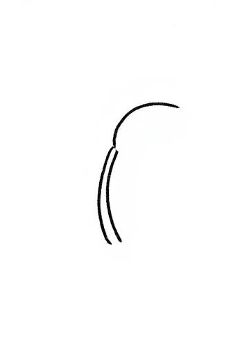 lisa whittaker tweet media