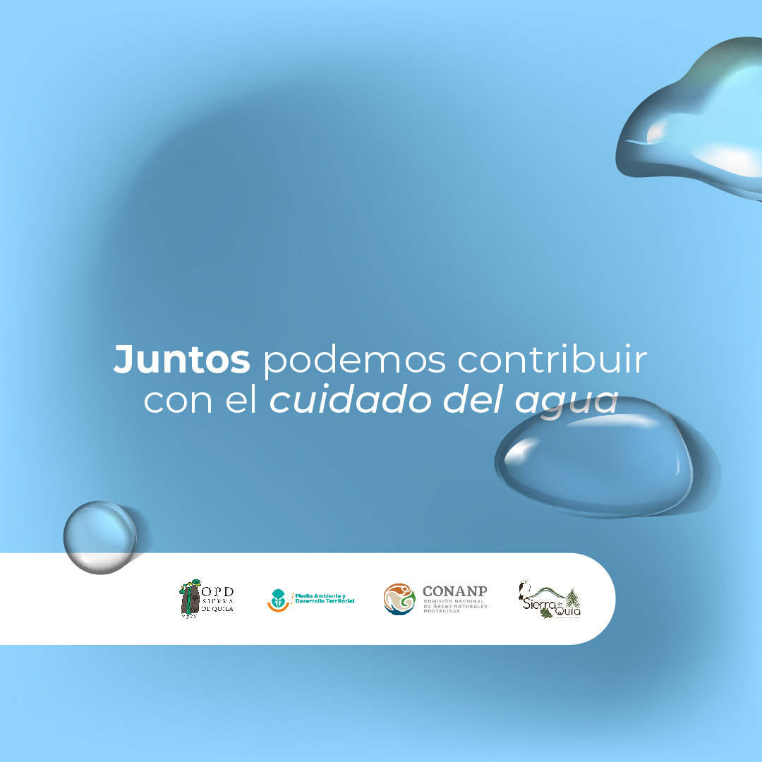 Hoy, en el Día Mundial del Agua, recordemos que cada acción cuenta.
Proteger la Sierra de Quila es proteger el agua. Y proteger el agua es proteger la vida 💦