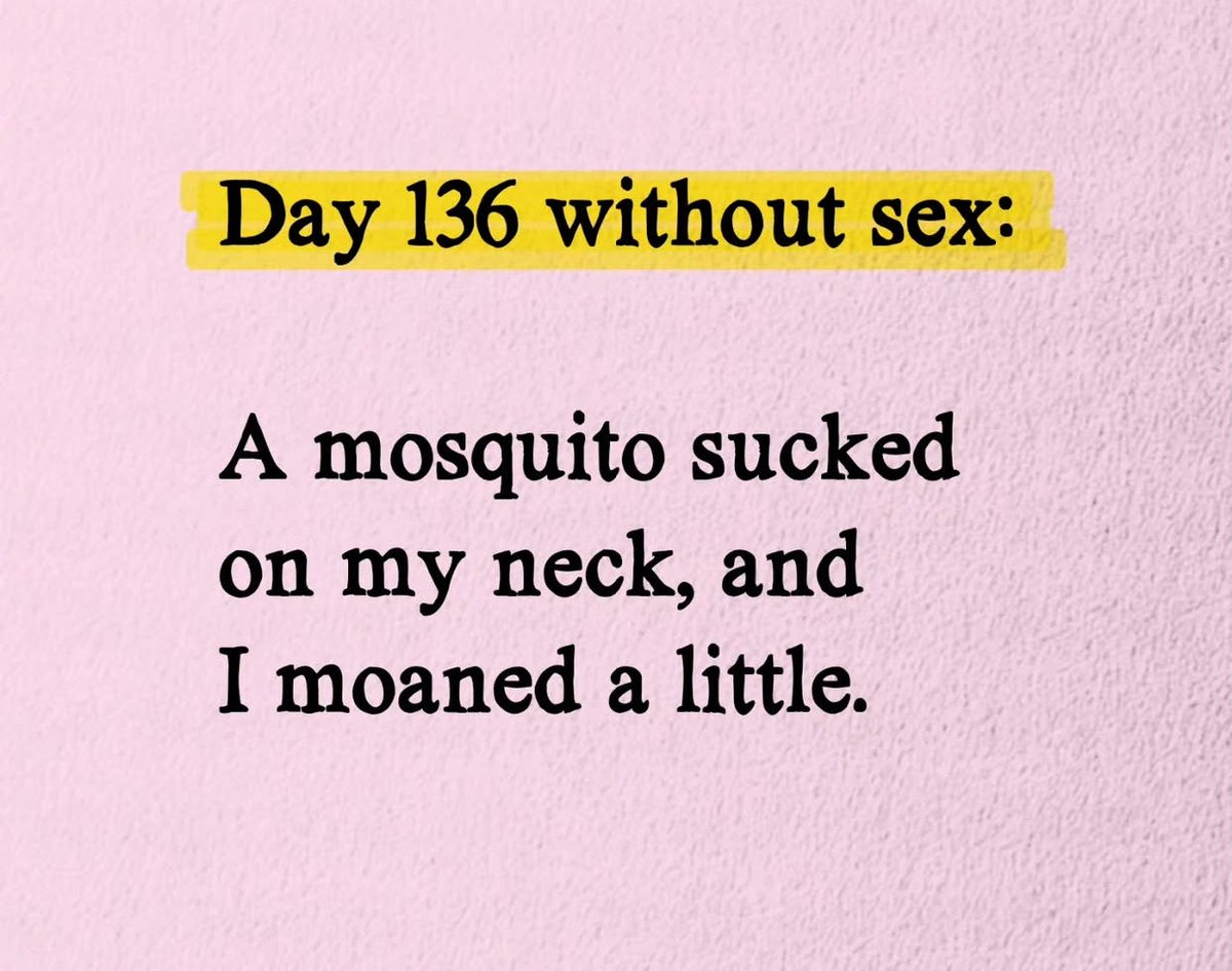 🥀Sarah 🥀 tweet media