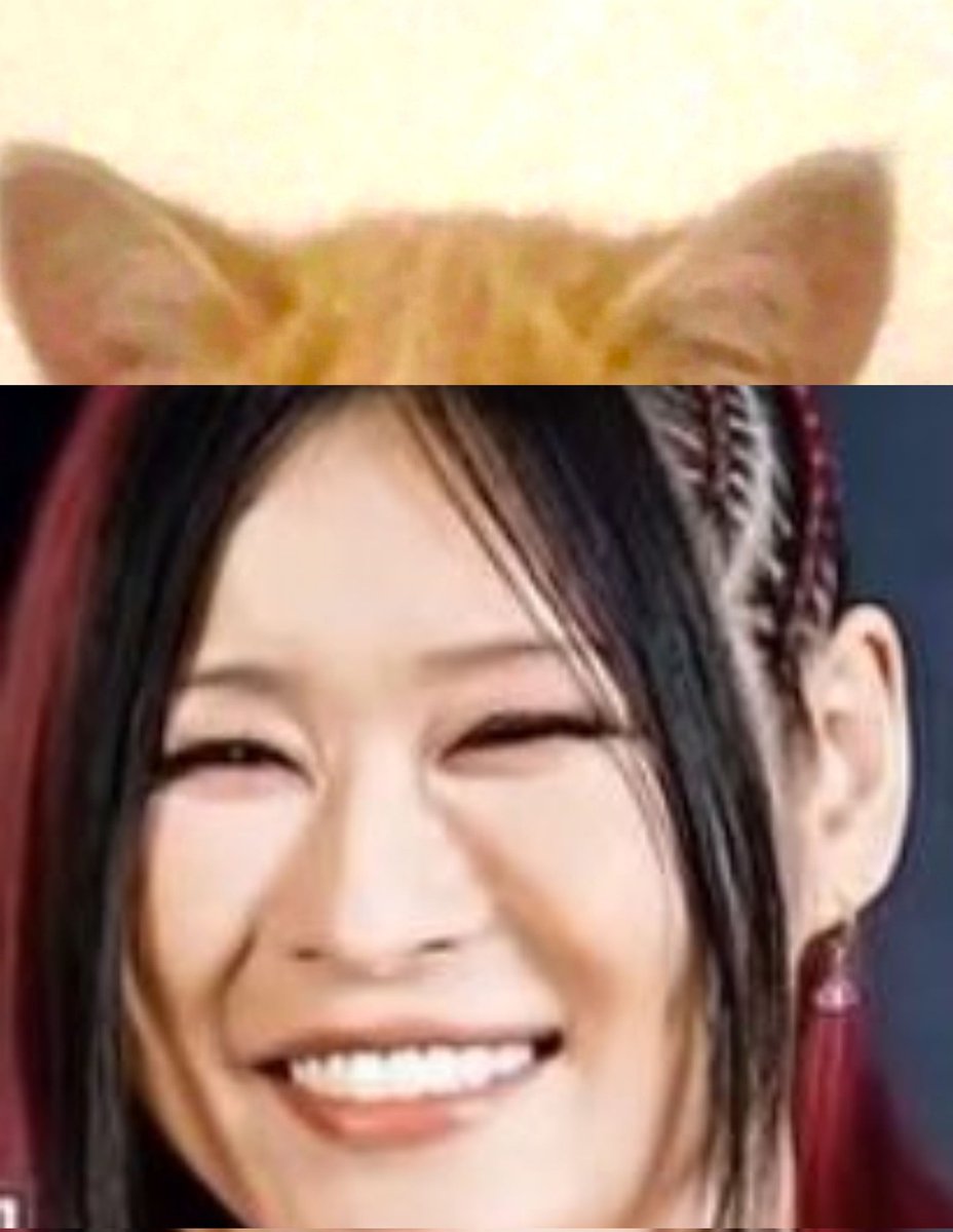 iFriedNemo tweet media