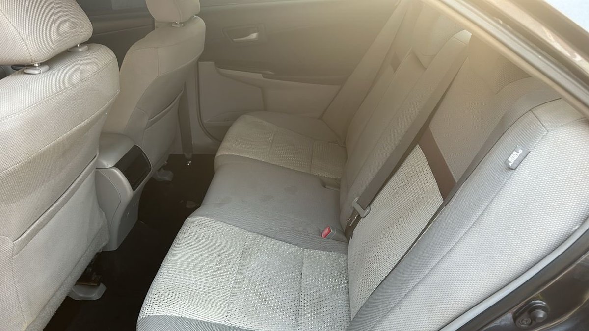 B¹G ZIM tweet media