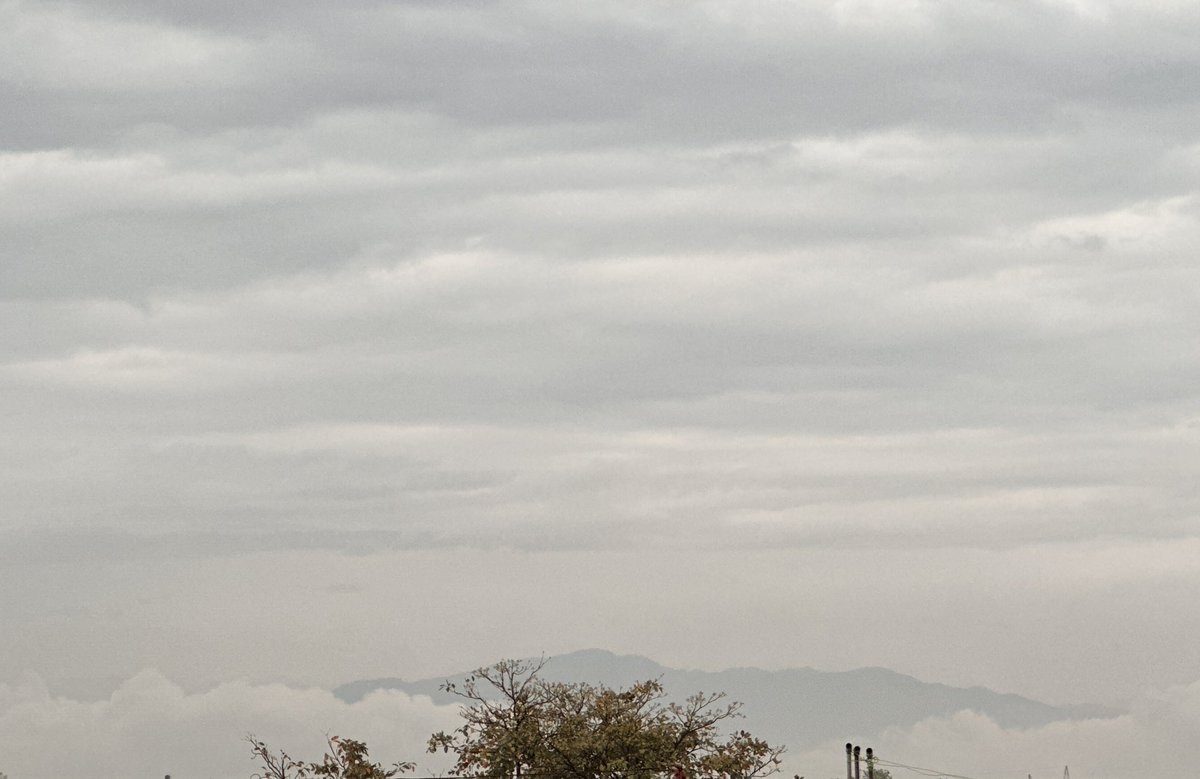 🧃Aästha. tweet media