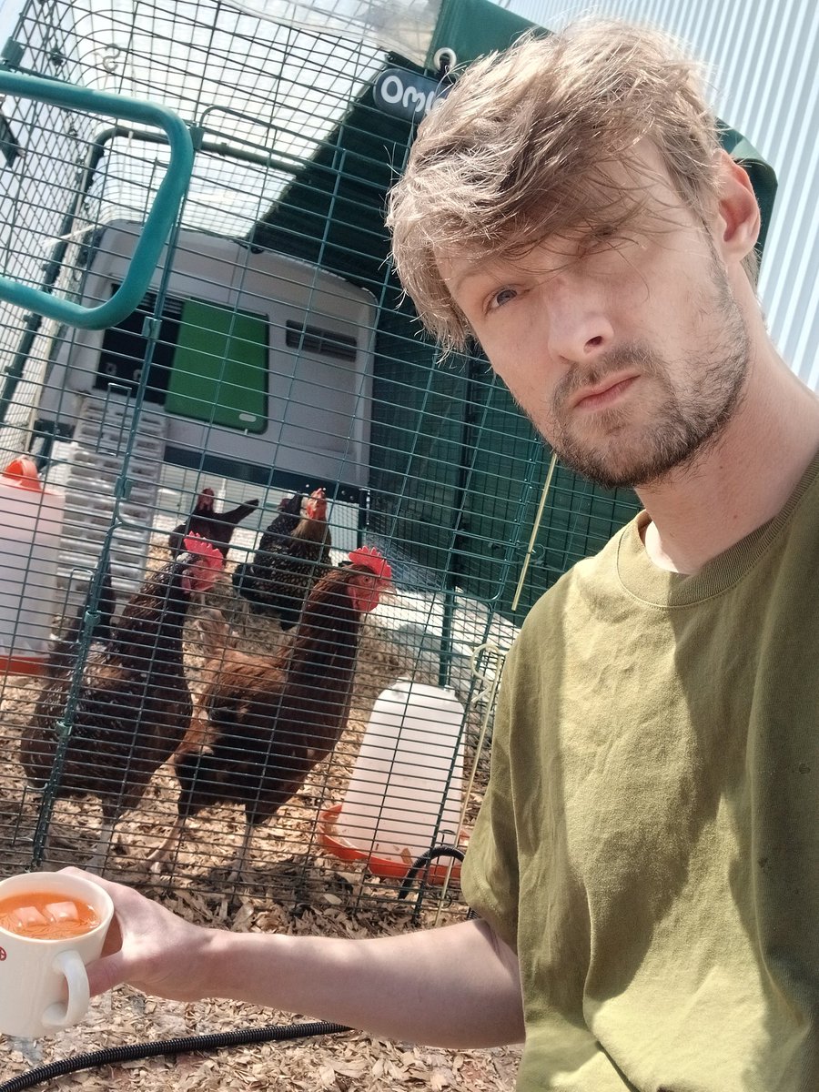 BE_KIND_REWIND_ tweet media