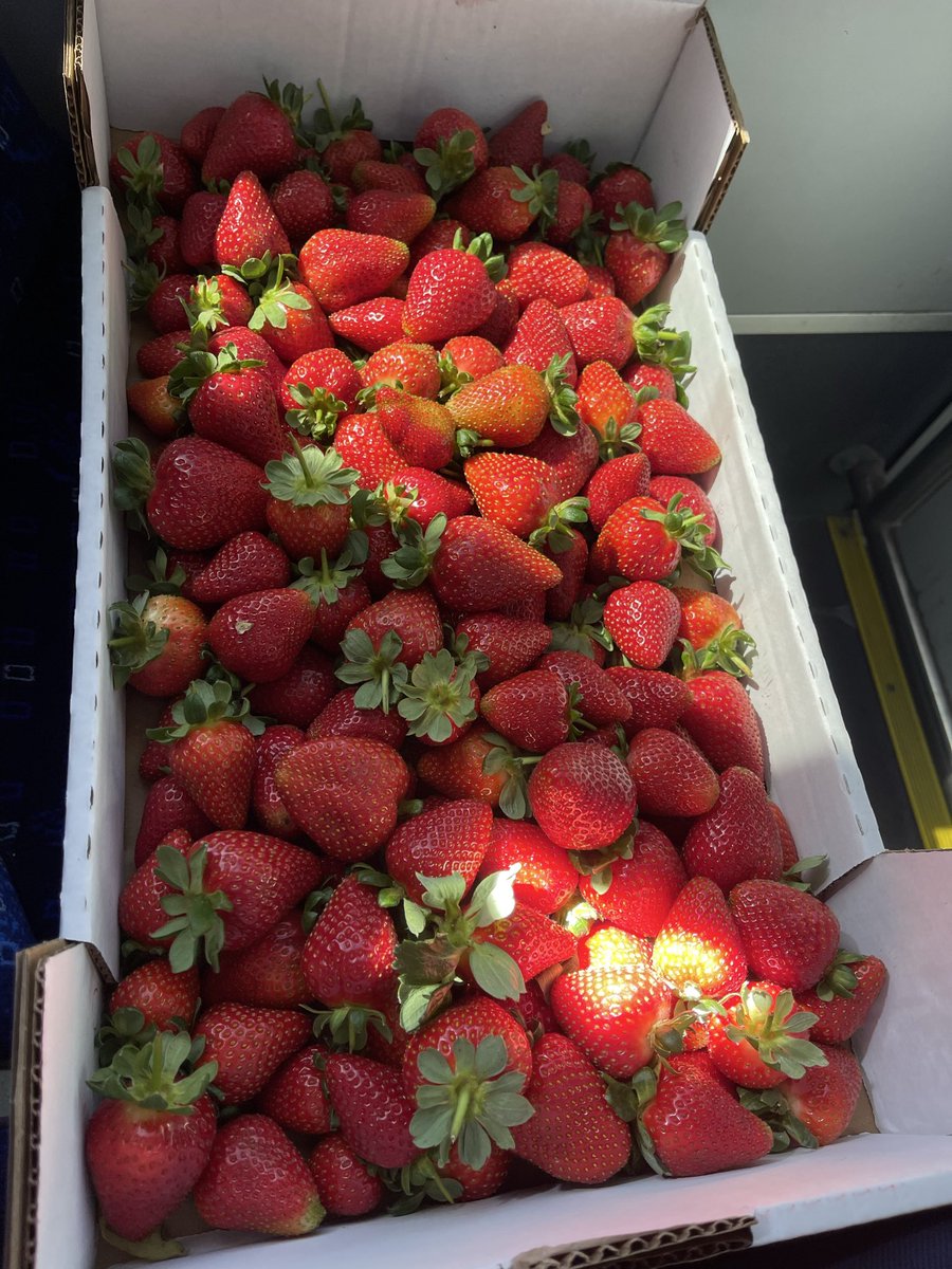 Да уж,Даша tweet media