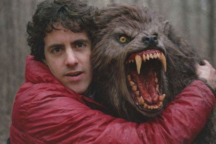 Salomé🕊️ tweet media