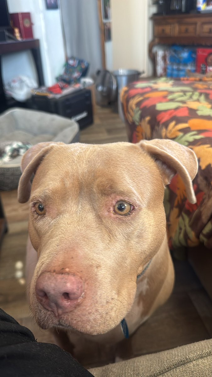 SideSnatchSullivan tweet media