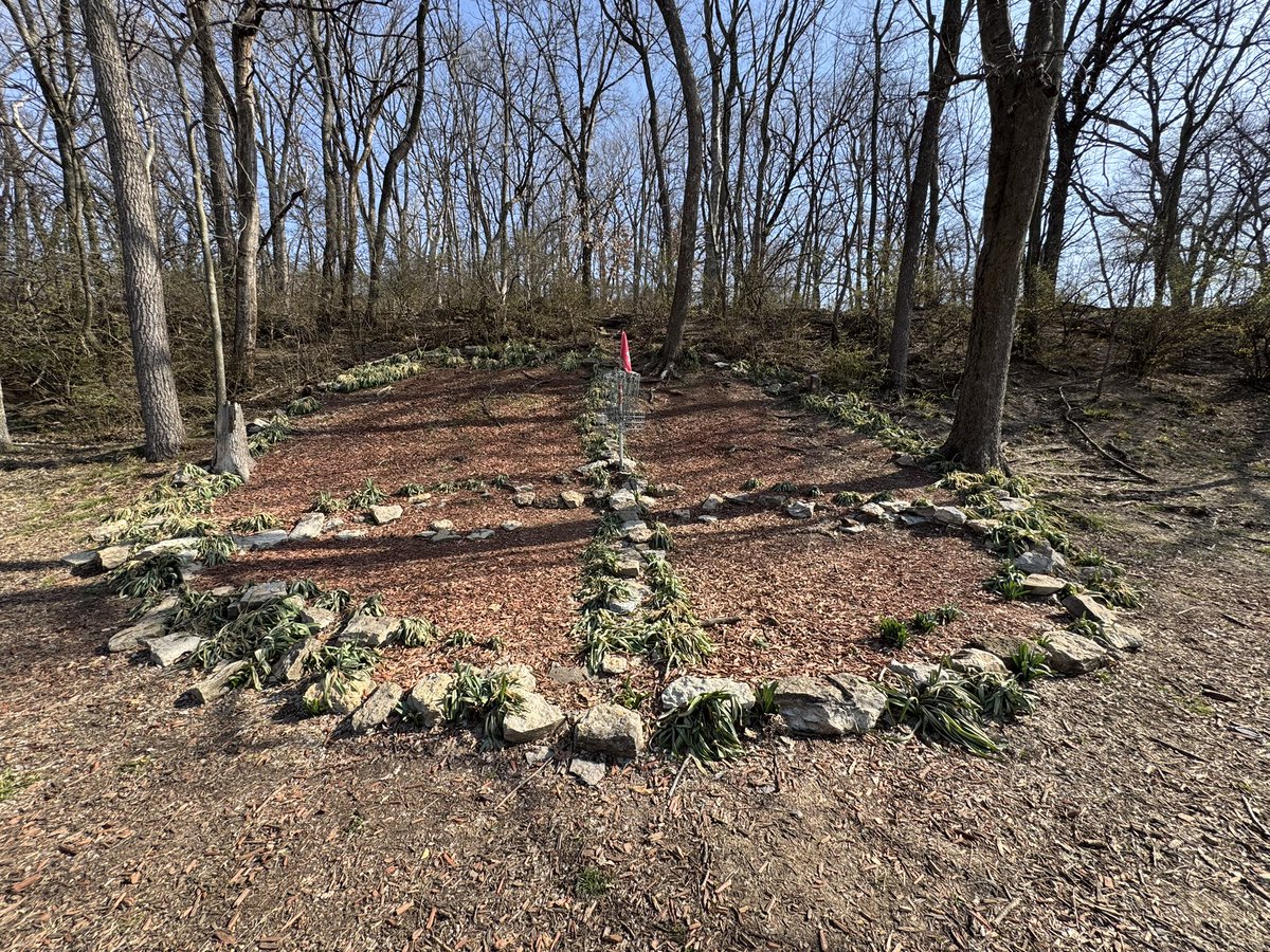 Out here in Kansas City as Ave Maria basketball takes part in it’s first ever NAIA Round of 16. Decided to get a late morning round of disc golf in before the game! Score-wise, not a good round, but the course was beautiful on this great spring day in KC
