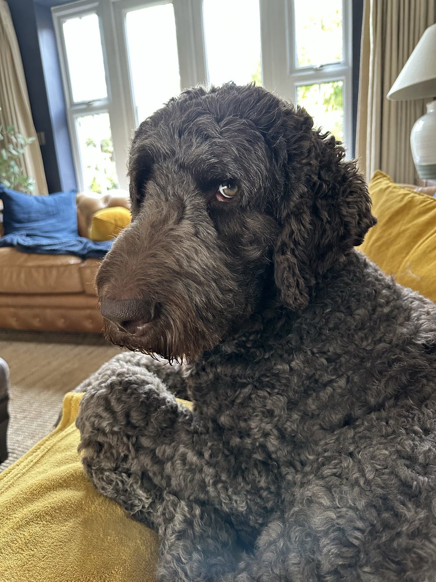 I love Nigel 💙 tweet media