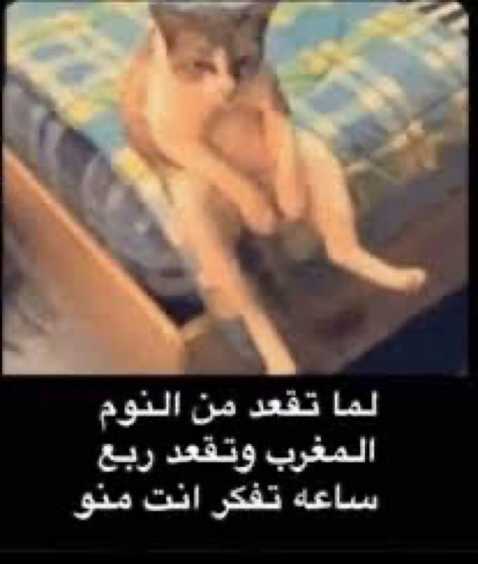 ىىىطام 🇸🇦 tweet media