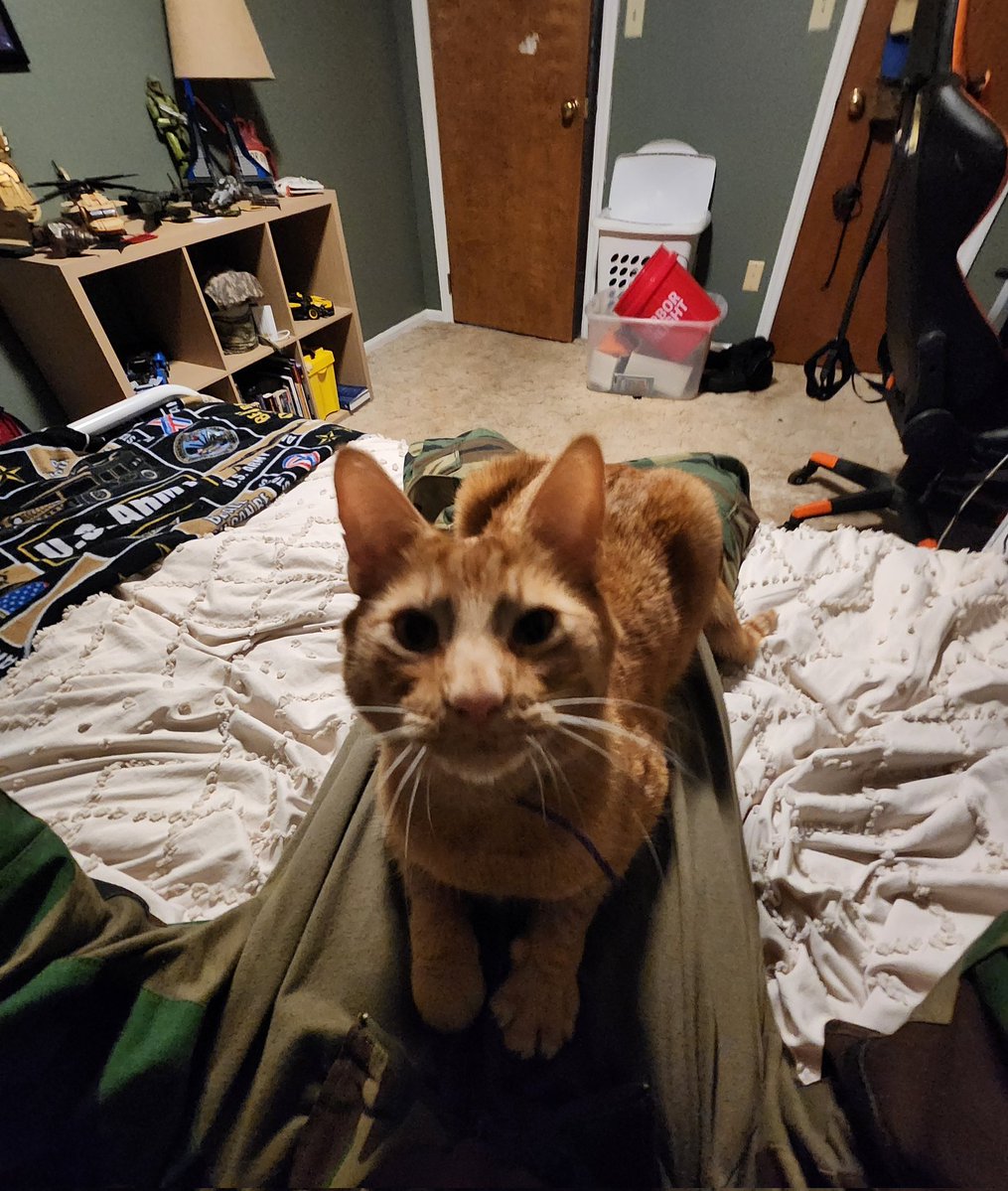 Skulldozer tweet media