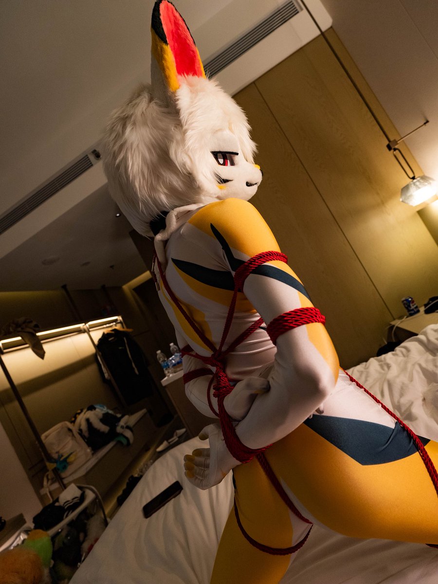 白晓焰 tweet media