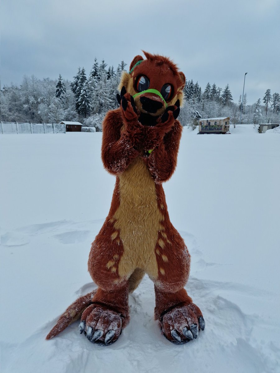 Keksiiii🦦 tweet media