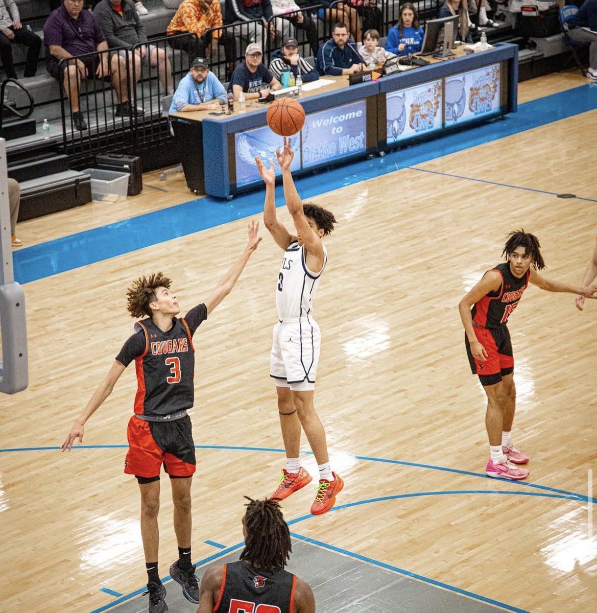 Roger Davis, PhD tweet media