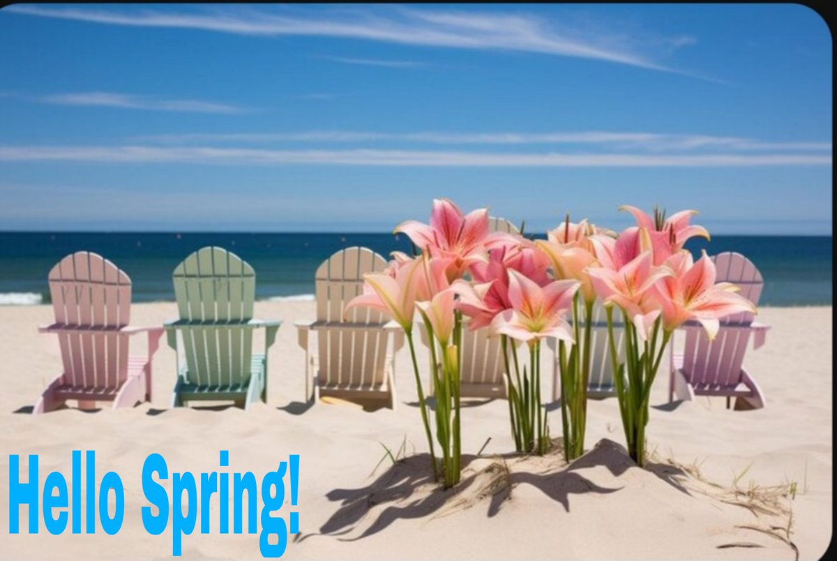 🏖⬣SandyBeach⬣🏖 tweet media