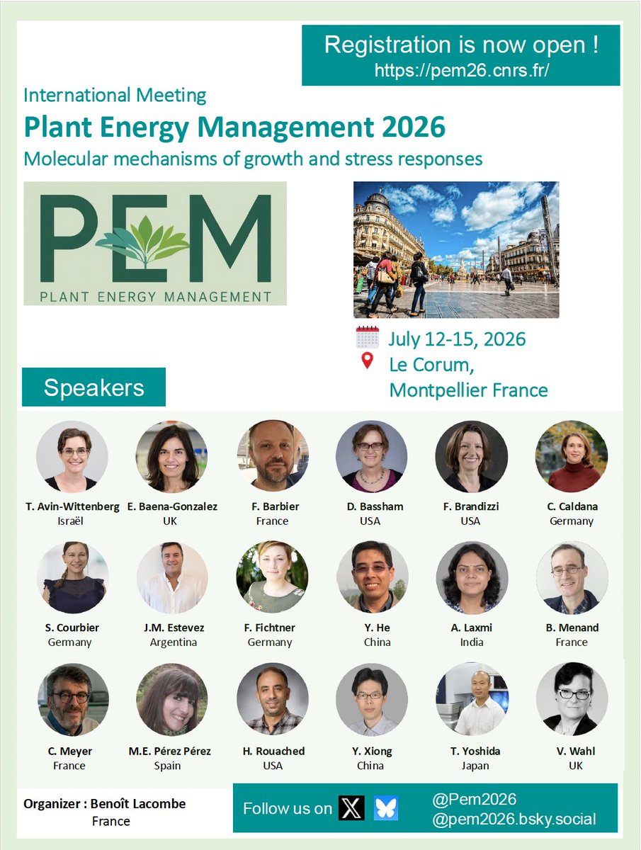 Rouached Lab tweet media