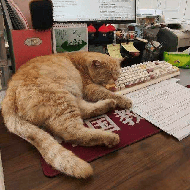 orhan çetintaş tweet media