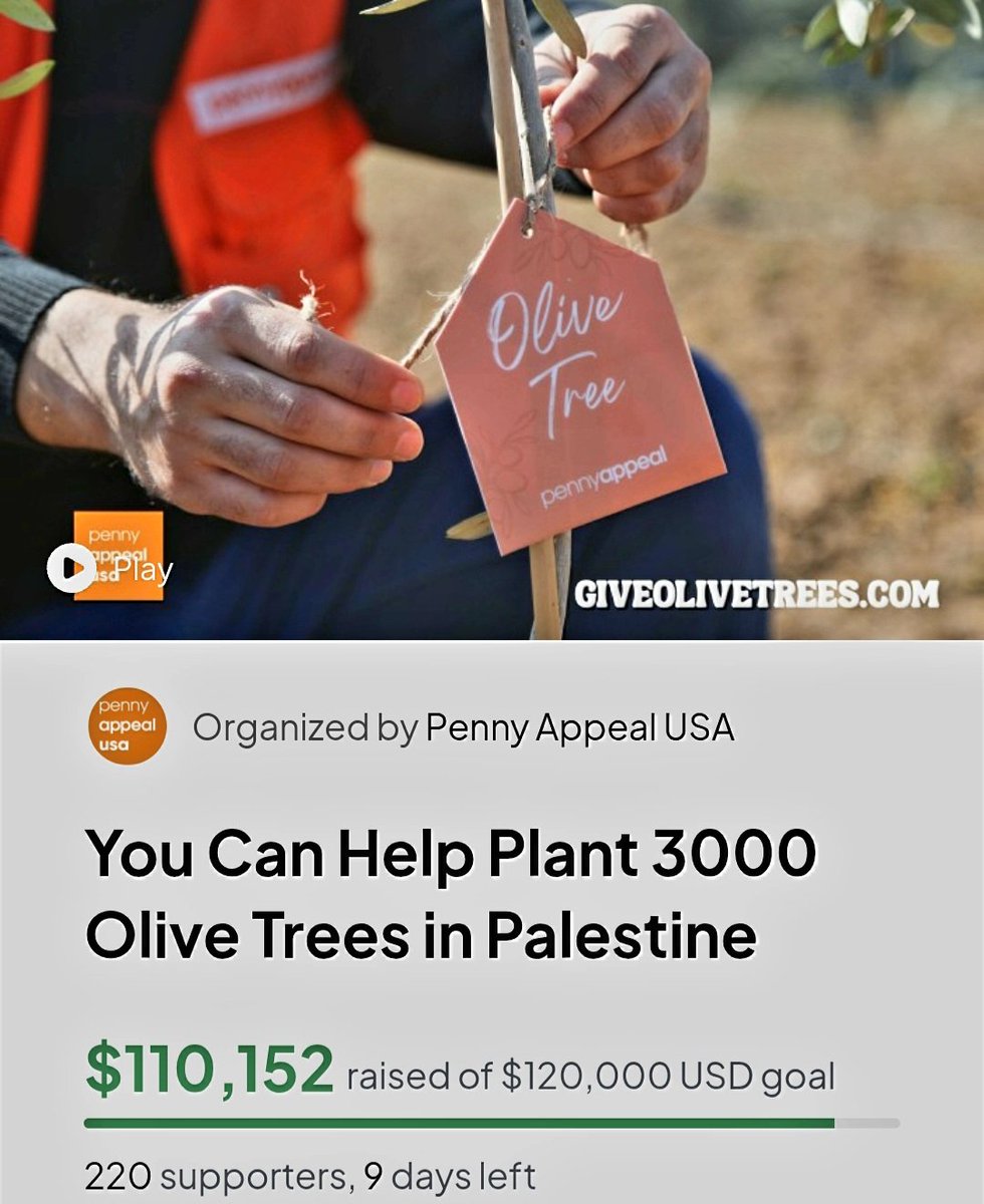 Arsalan Iftikhar tweet media