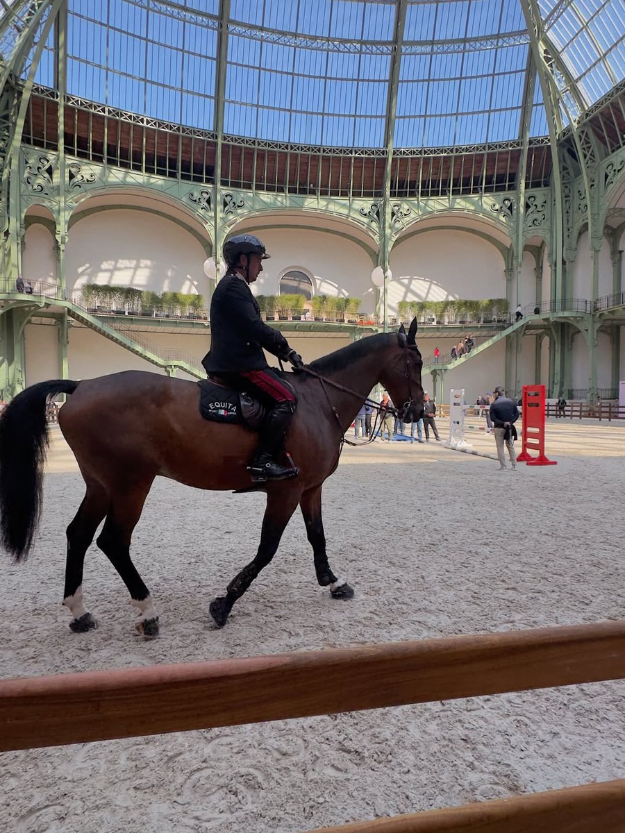 Best Of Ahsen Eroğlu tweet media