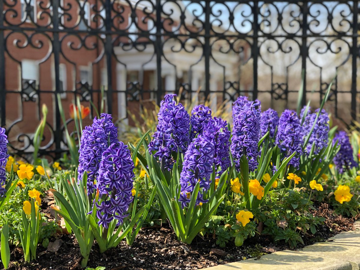 LaGrange  College tweet media