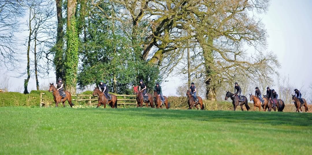 Neil Brookman tweet media