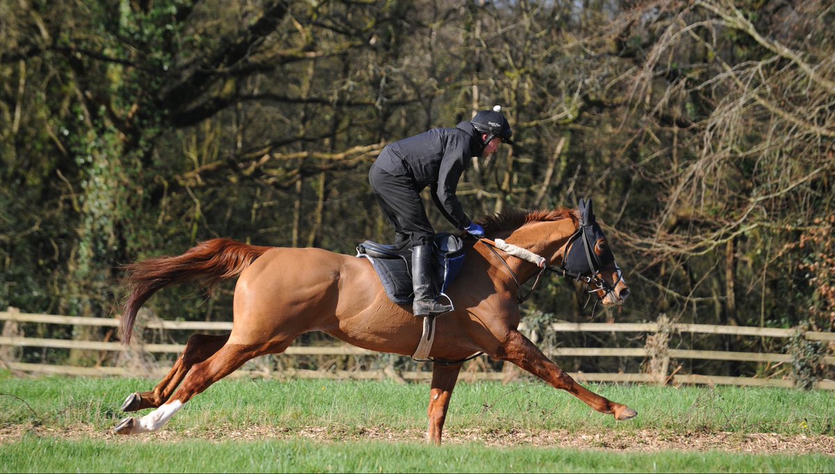 Neil Brookman tweet media