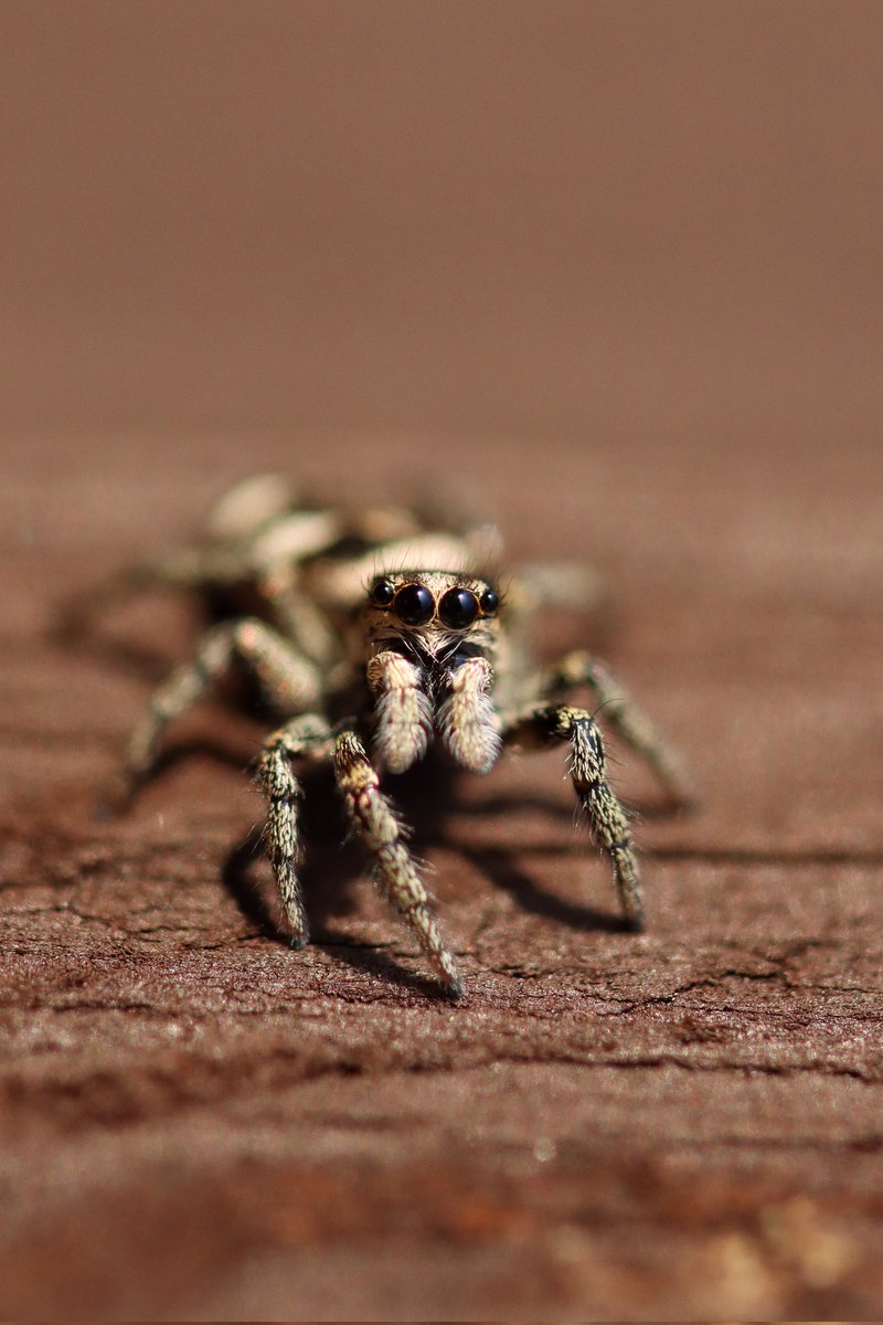 Rob Aitchison tweet media