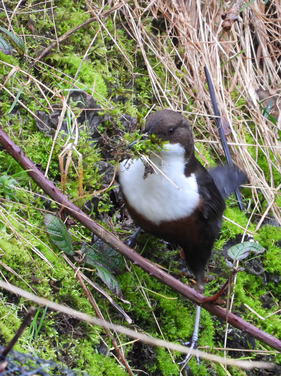 Bwarropics tweet media