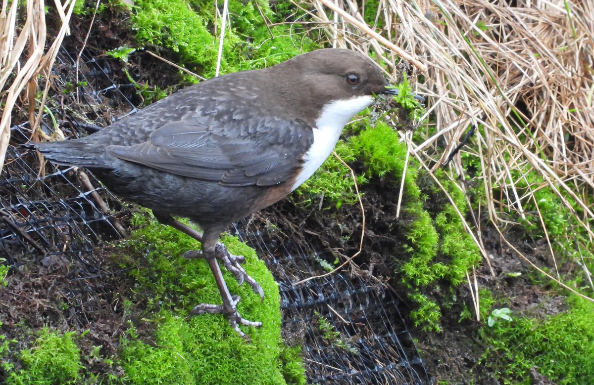 Bwarropics tweet media