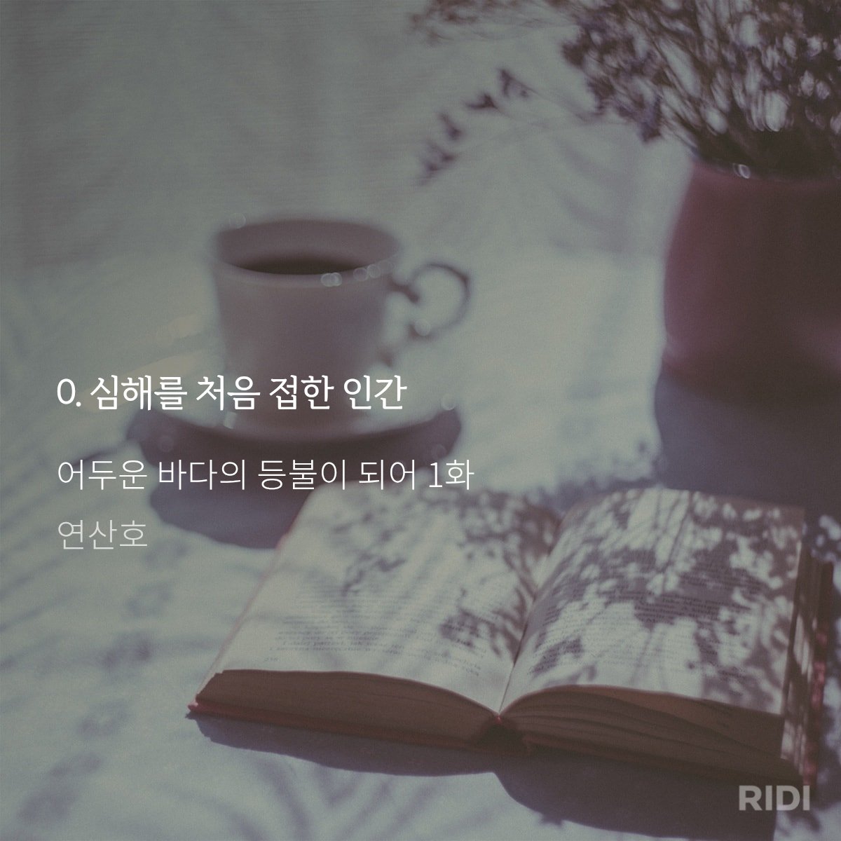 네온페 tweet media