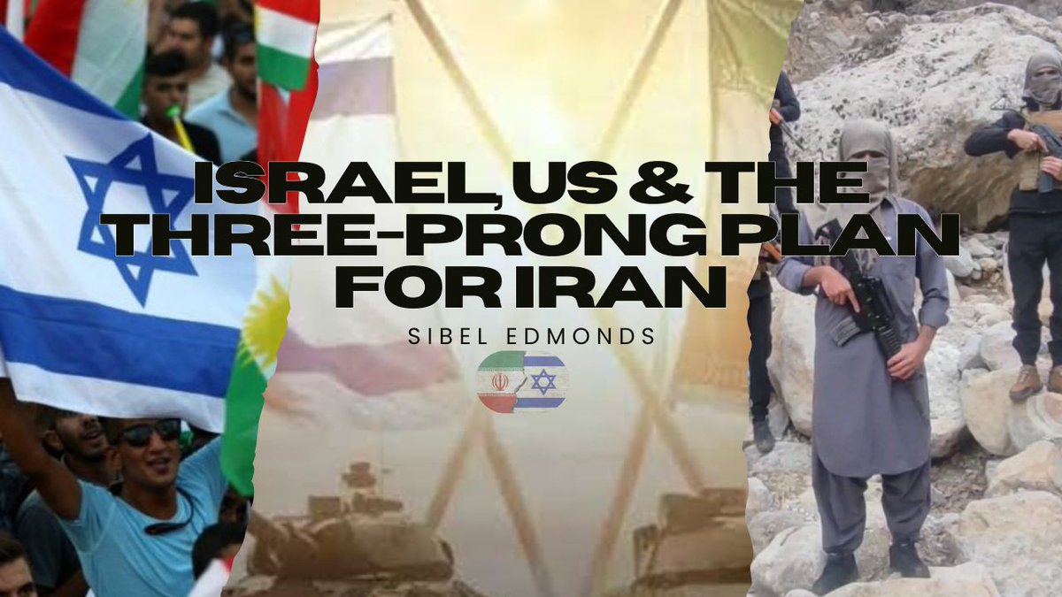 SibelEdmonds tweet media