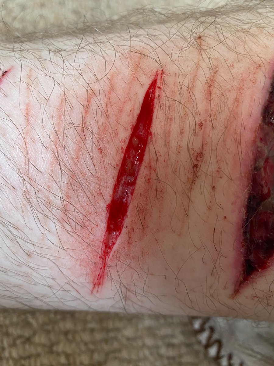 laila // shtwt tweet media