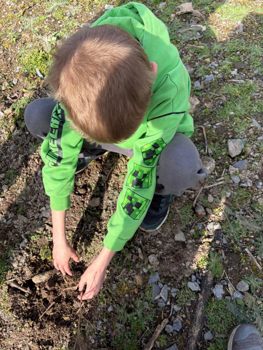 St. Cecilia's School tweet media