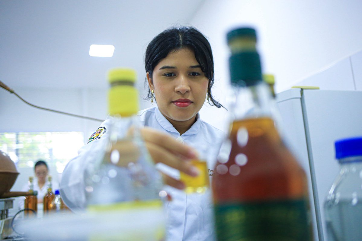 GovernoMA's tweet image. 🌱 Ciência maranhense inovando com sustentabilidade!

🔬 Pesquisadores da UEMA estão desenvolvendo uma solução natural para reduzir o excesso de cobre na cachaça, um desafio histórico na produção da bebida.

#GovernoMA #Sustentabilidade