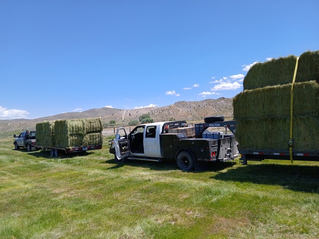 Mountain Mercantile tweet media