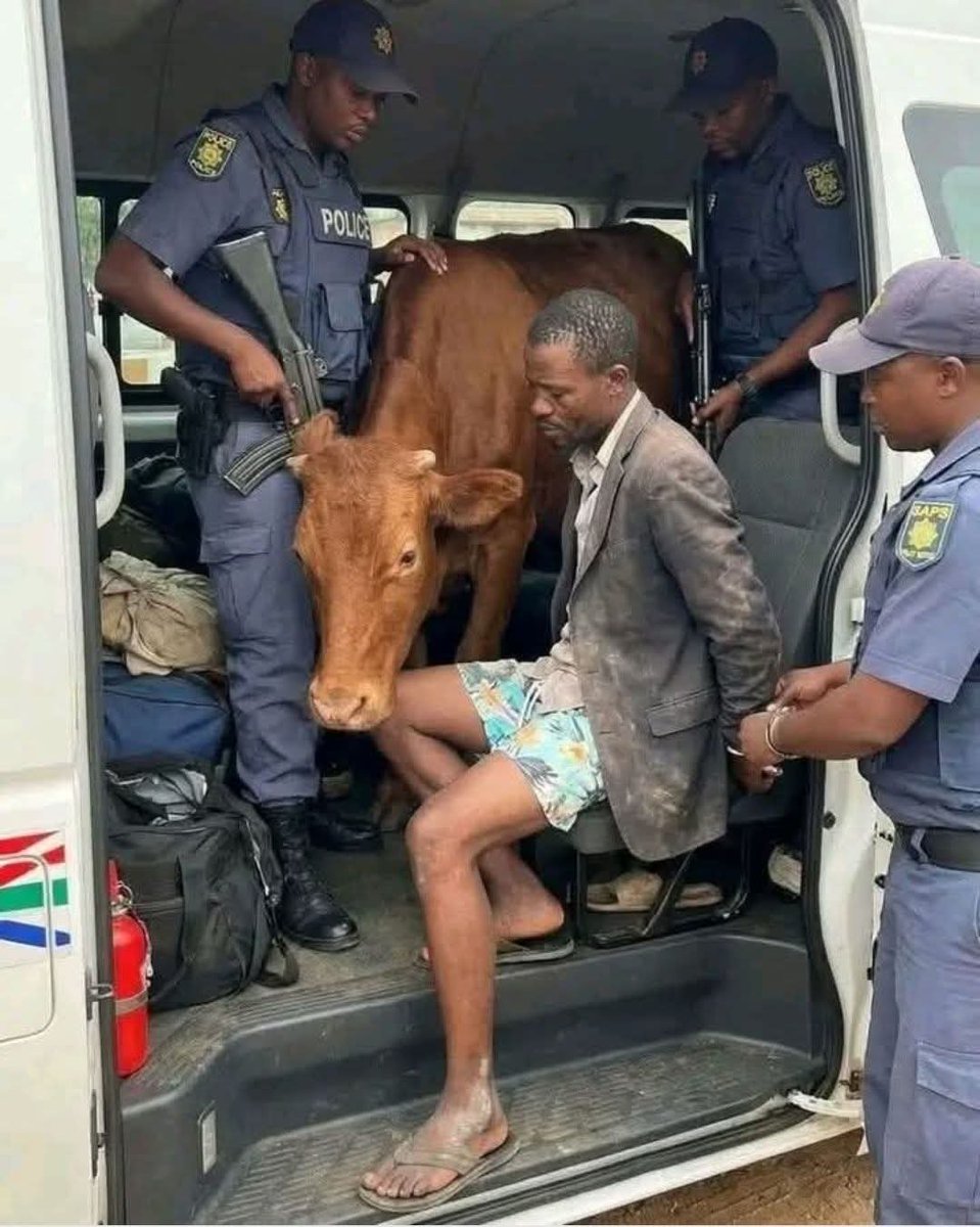 Pookie's Polls & Opinions tweet media