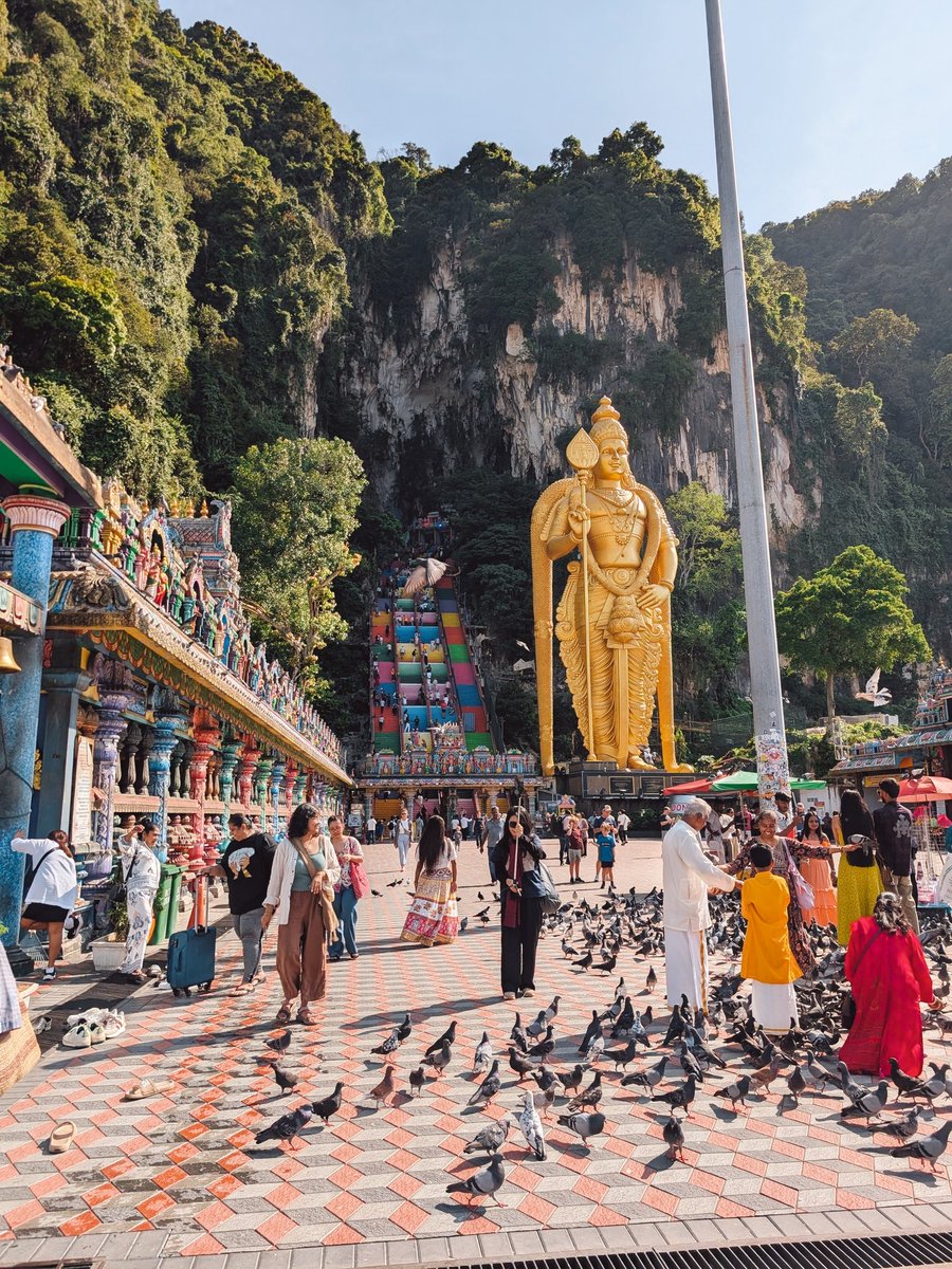 juwei 🌷🌆 tweet media