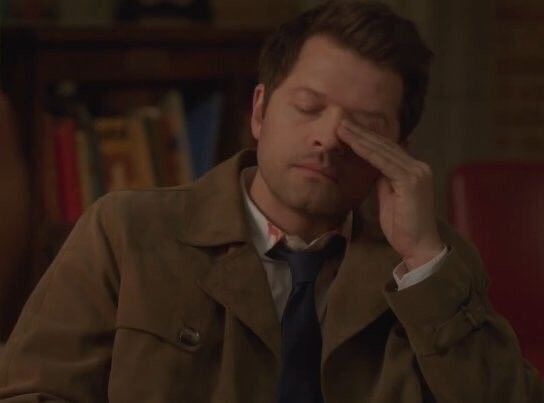 Lana 🐦‍⬛ r*ssians dni tweet media