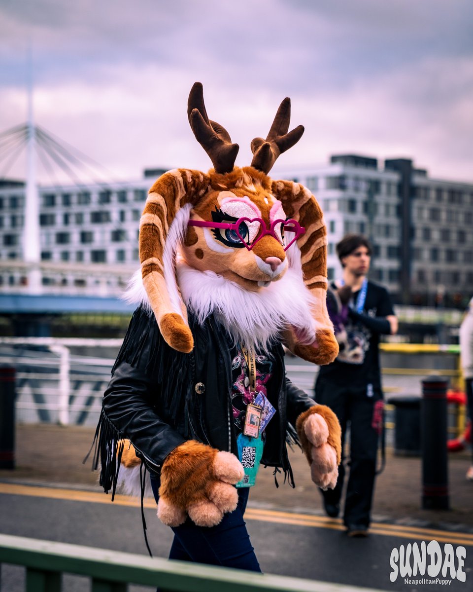 durrmaxxing's tweet photo. Bnnuy about to throw paws I mean... Have a rational and polite conversation. >:3

📸 Neopolitanpuppy/Sundae
🪡 @HeadofMedusaArt 

#fursuitfriday #fursuit #bnnuy #jackalope #furry https://t.co/wWzQHq3k8W