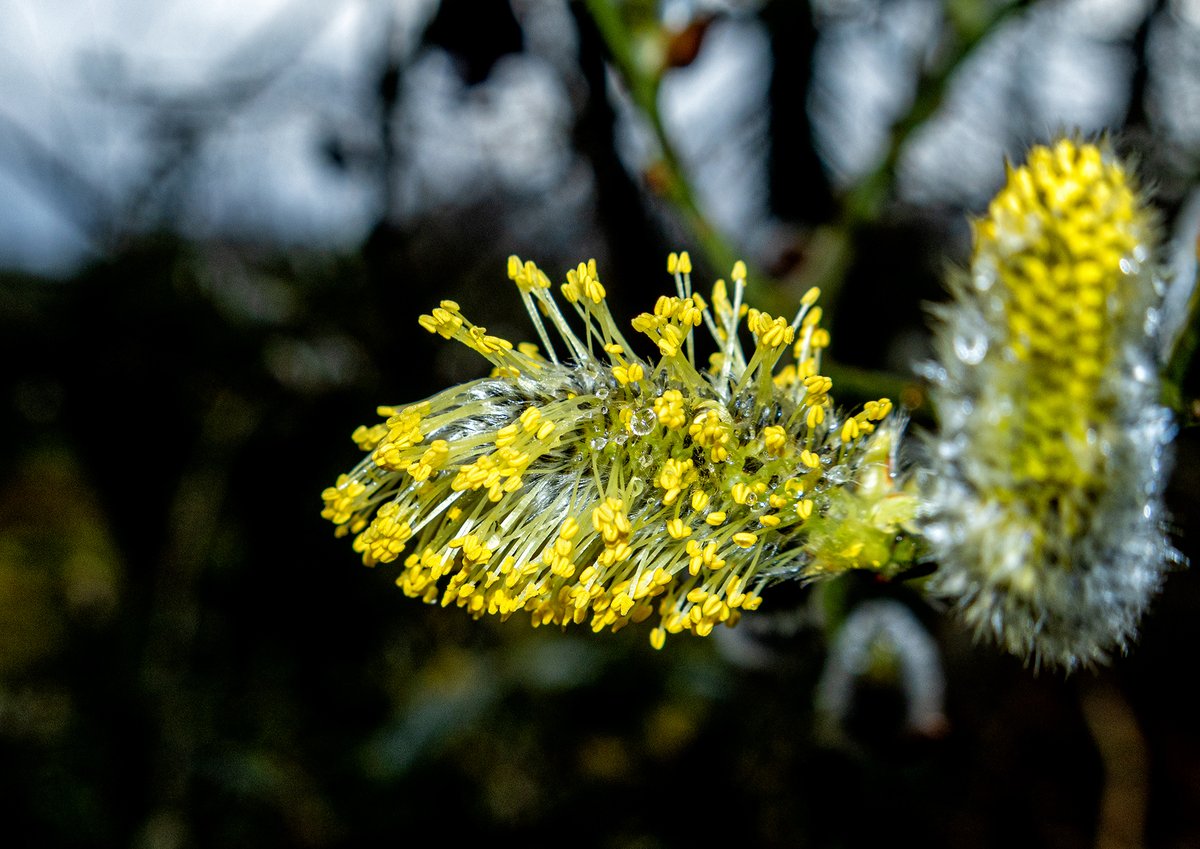 Ian Wright tweet media