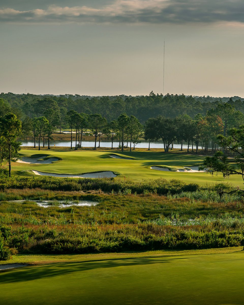 Senior PGA Champ tweet media