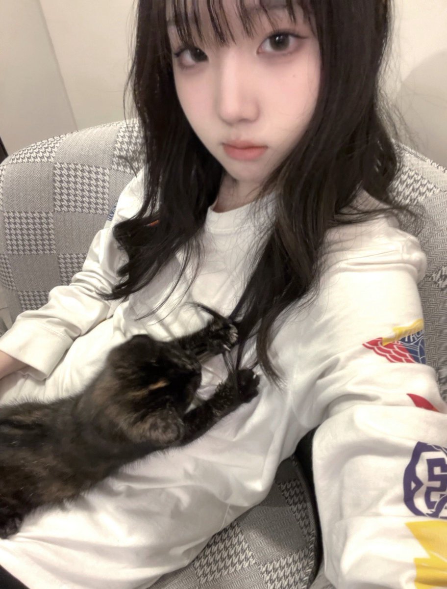 忧郁灵猪 tweet media