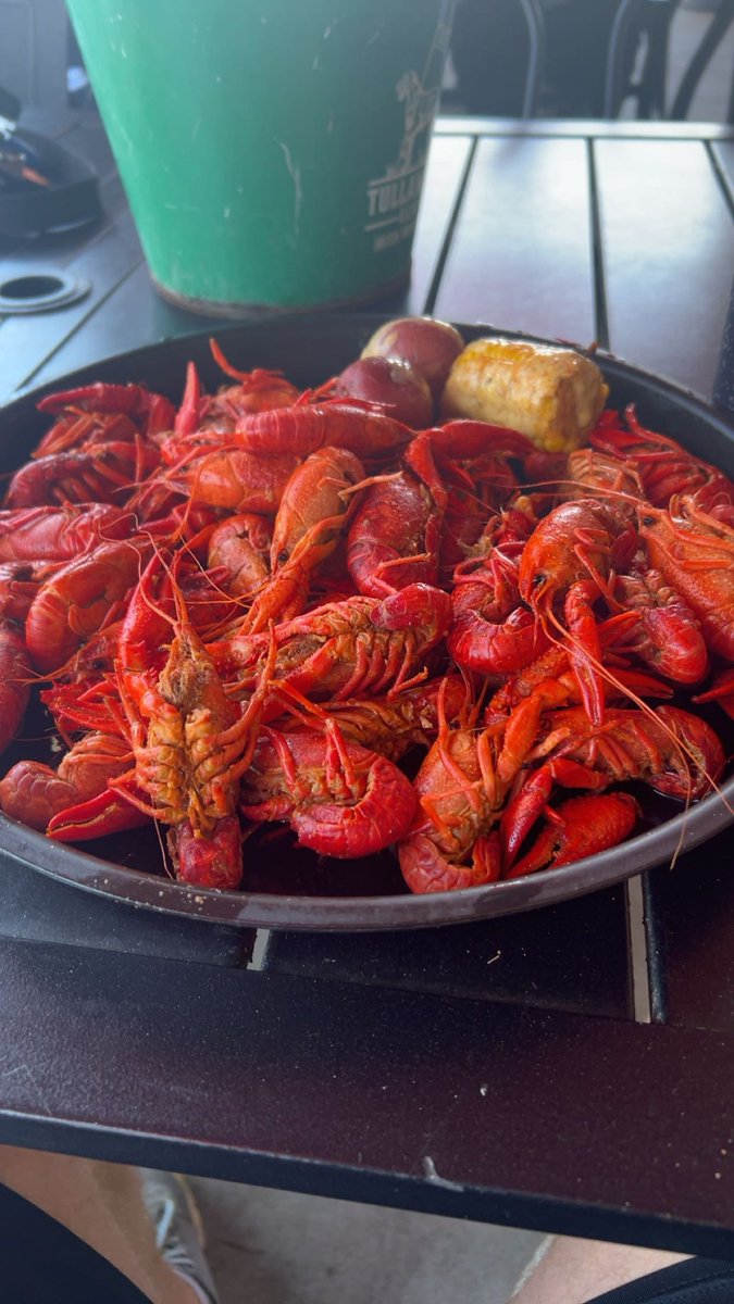 William“exciting white”Faulkner🇹🇹 tweet media